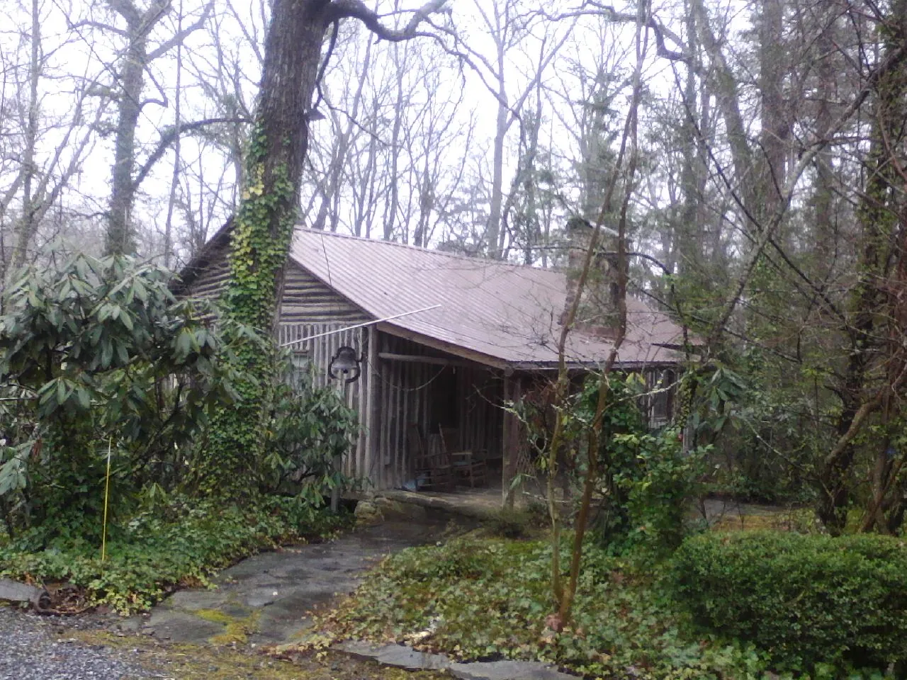 Weathered metal roof on an old board sided cabin in the woods in Landis