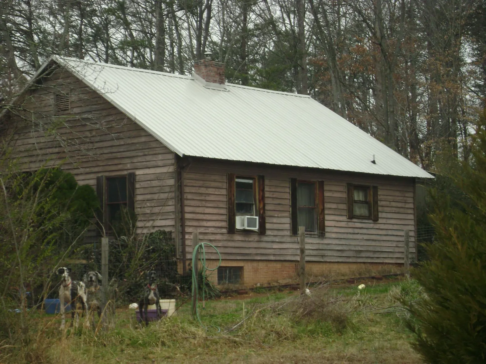 White metal roof on an old wood sided farmhouse, from a Asphalt Shingle Roof Repair job in Landis